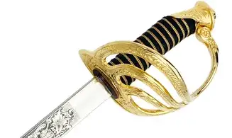 Sabre Officier ERM