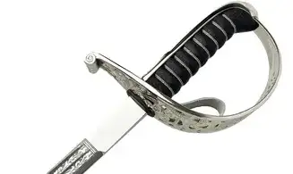 Sabre Officier Suisse