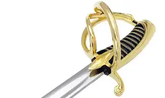 Sabre Officier F1