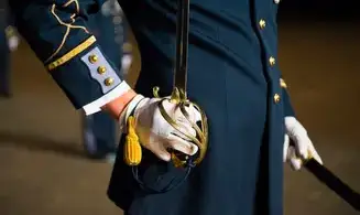Sabre Officier F1