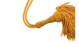 Dragonne subalterne bouillon or